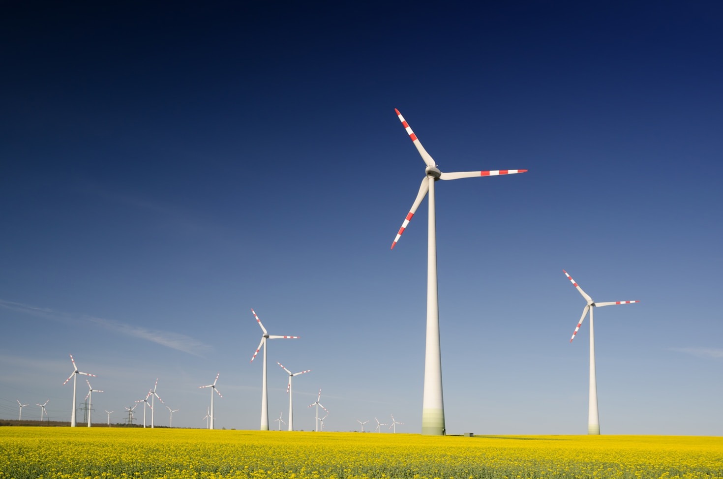 A importância dos estudos de impacto ambiental
